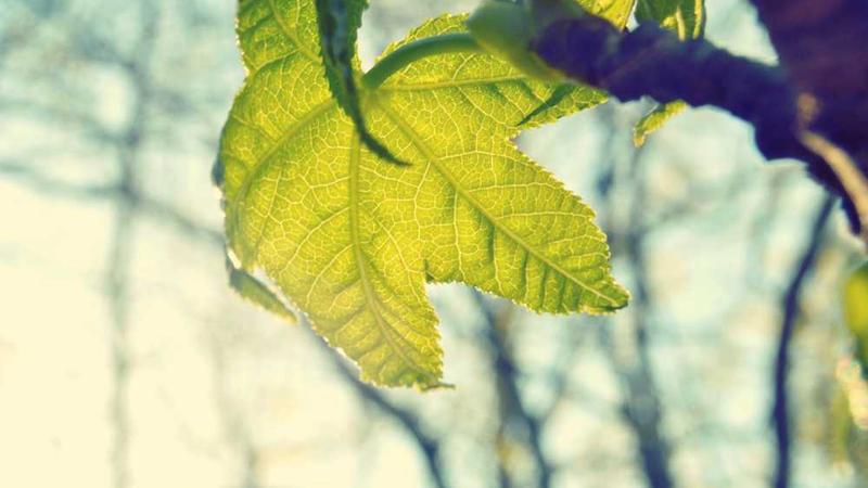 creative主题的精美插图