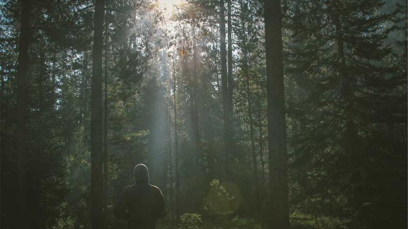 与creative相关的创意图片