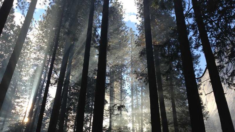 creative相关的高质量图像