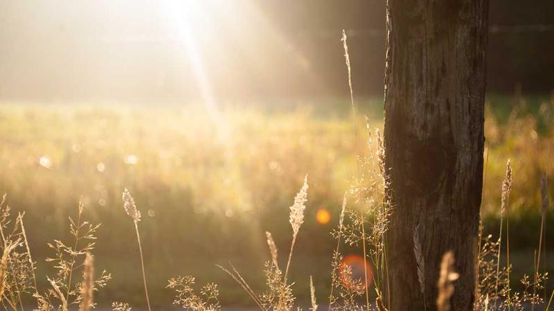 creative主题的精美插图