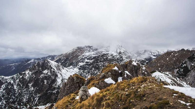 cuisine相关的高质量图像