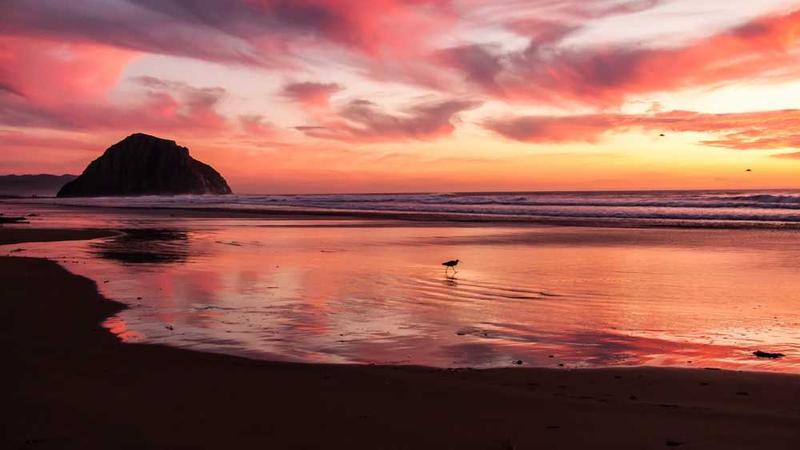 关于digital的专业图片