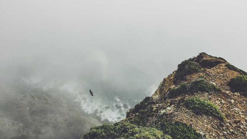 digital主题的精美插图