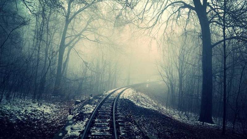 关于digital的专业图片