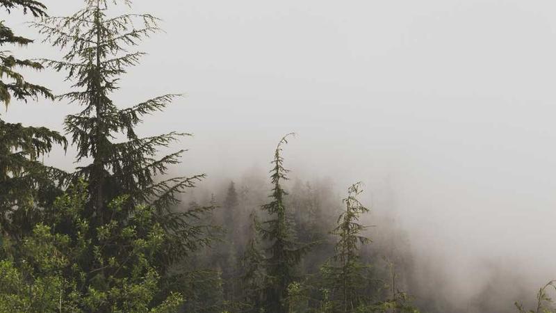 关于digital的专业图片