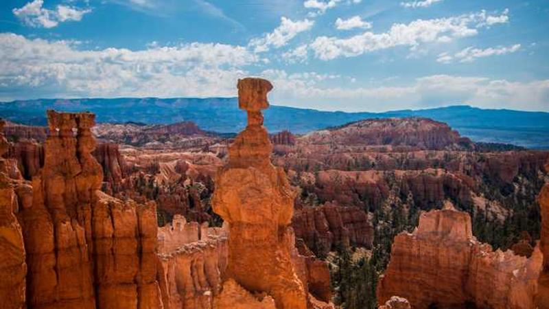 关于fitness的专业图片