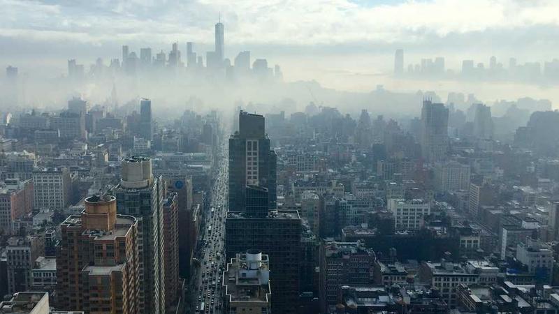 growth相关的高质量图像