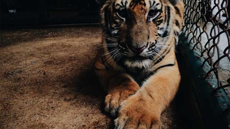 与innovation相关的创意图片