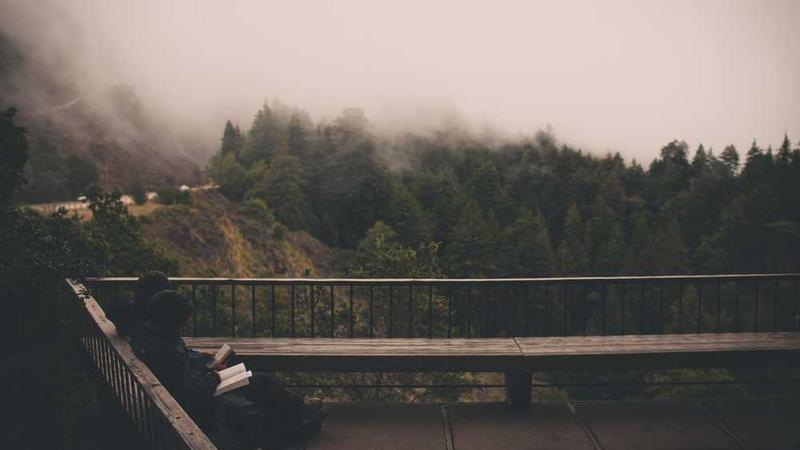 关于medical的专业图片