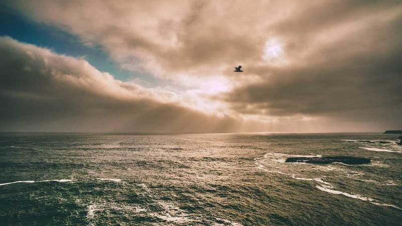 modern相关的高质量图像