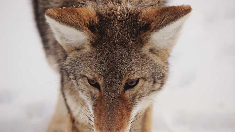 与modern相关的创意图片