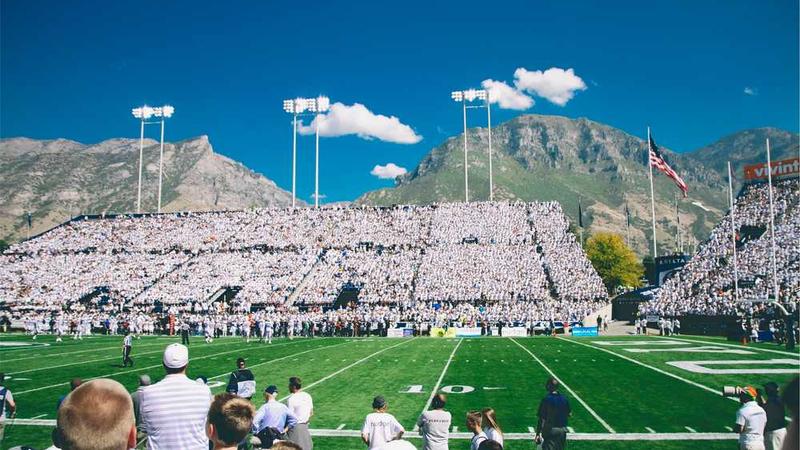 展示professional概念的视觉内容