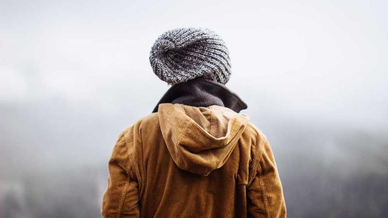 professional相关的高质量图像