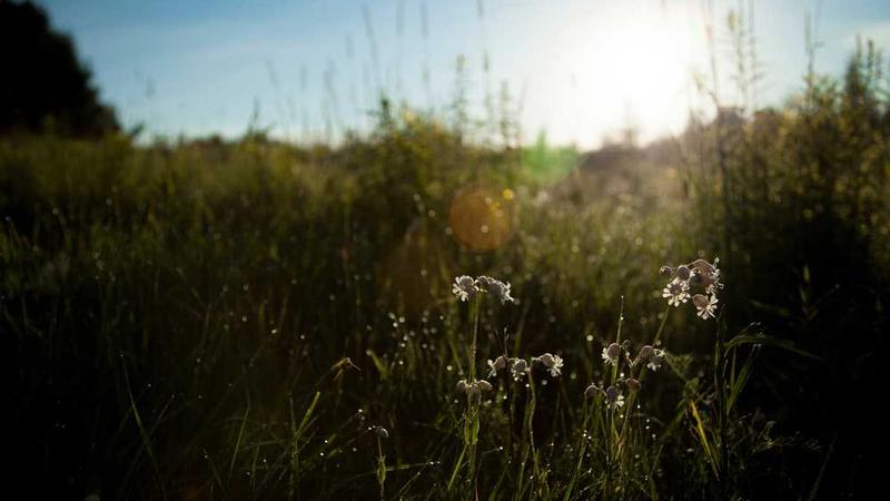 professional主题的精美插图