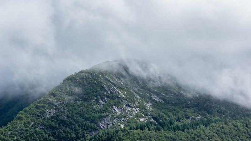 professional相关的高质量图像