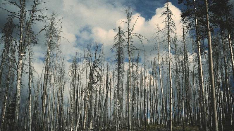 与restaurant相关的创意图片