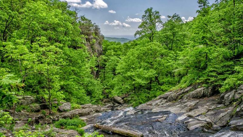 展示restaurant概念的视觉内容