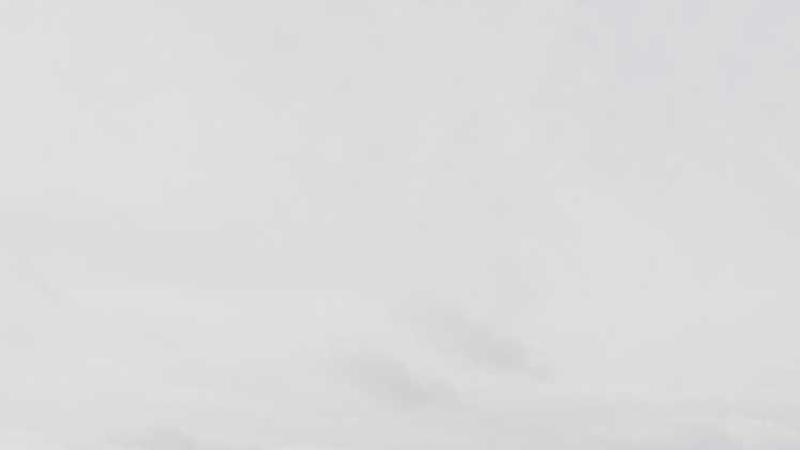 restaurant相关的高质量图像