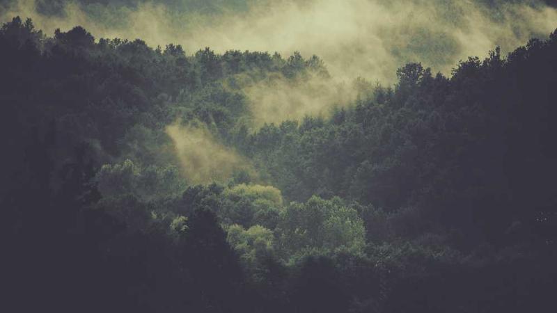 success相关的高质量图像