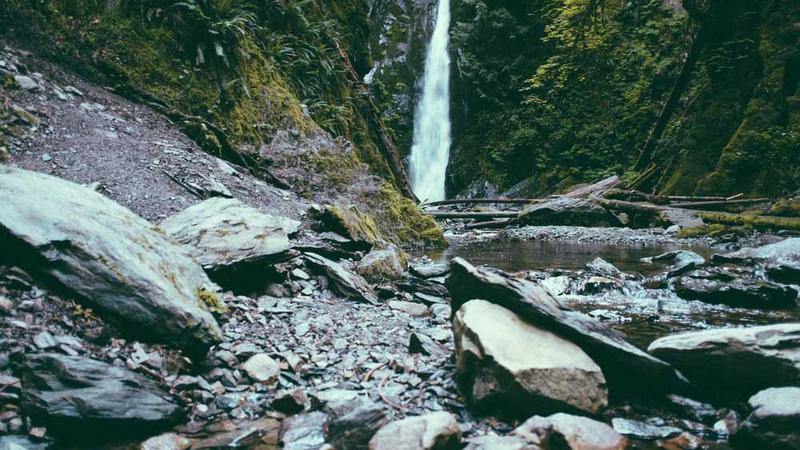 关于success的专业图片