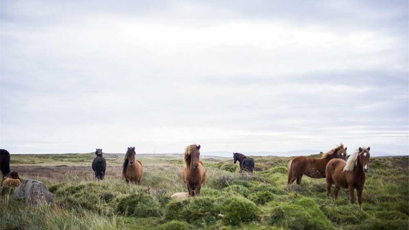 success主题的精美插图