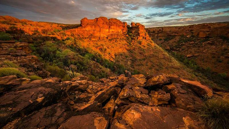 展示technology概念的视觉内容