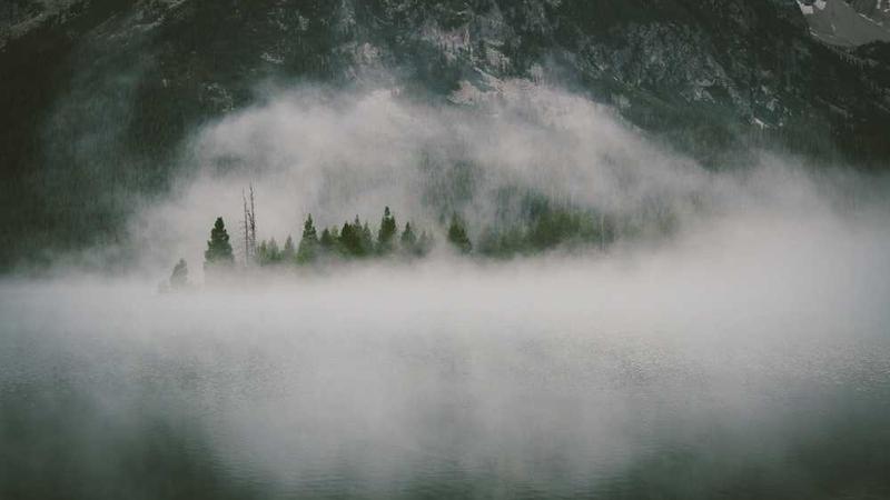 wellness主题的精美插图