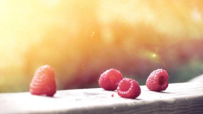 关于wellness的专业图片