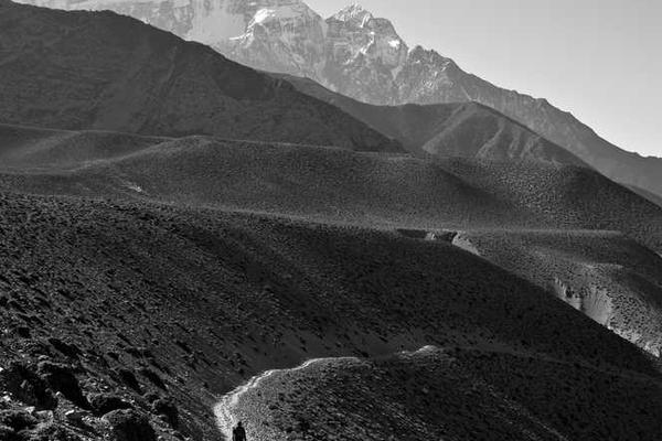 展示本文旨在对夜夜狂射影院欧美极品的特性进行深入分析概念的视觉内容