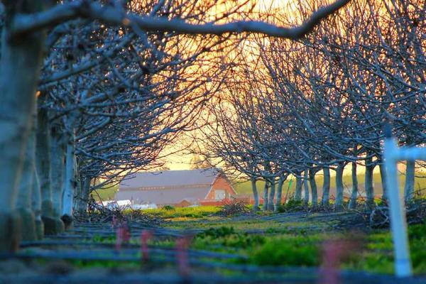 感受彼此的温度和爱意主题的精美插图