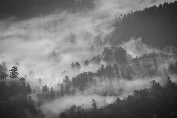 展示abstract概念的视觉内容