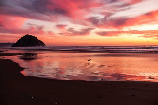 abstract相关的高质量图像