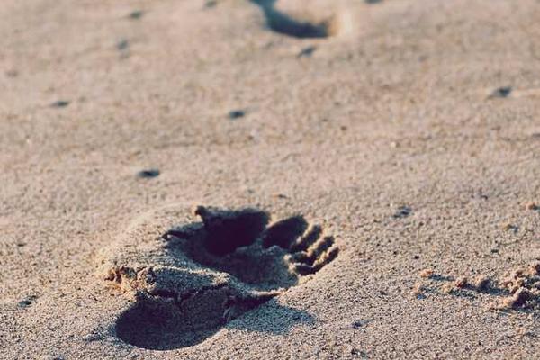 关于creative的专业图片