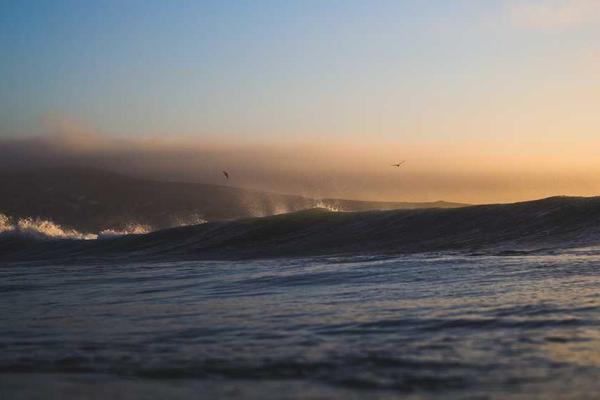 growth主题的精美插图