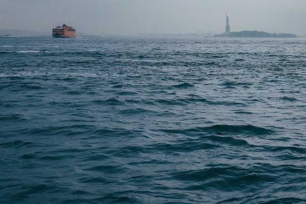 professional相关的高质量图像