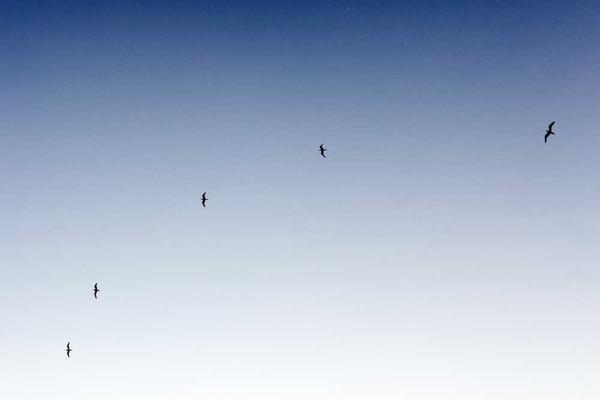 success主题的精美插图