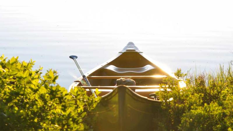 与探索狼人久草相关的创意图片