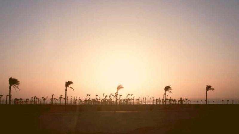 展示应急预案的制定与实施指南概念的视觉内容