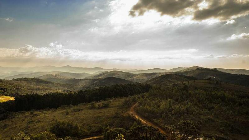 abstract主题的精美插图