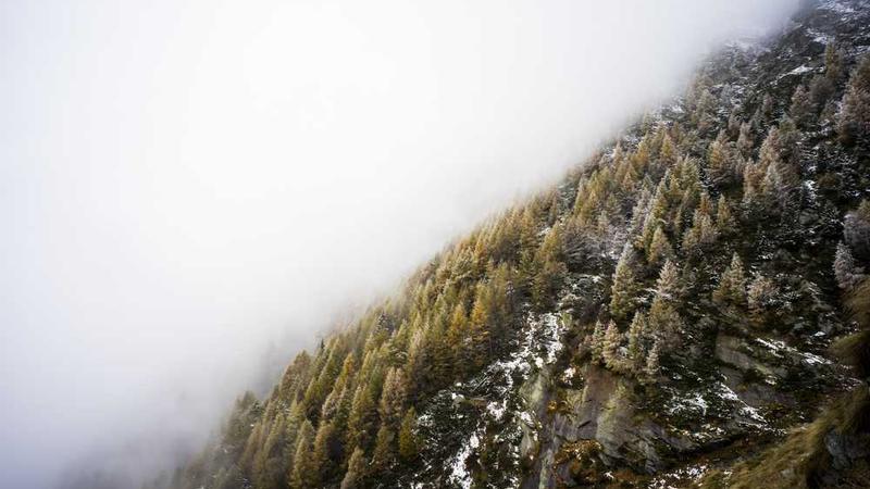 关于digital的专业图片