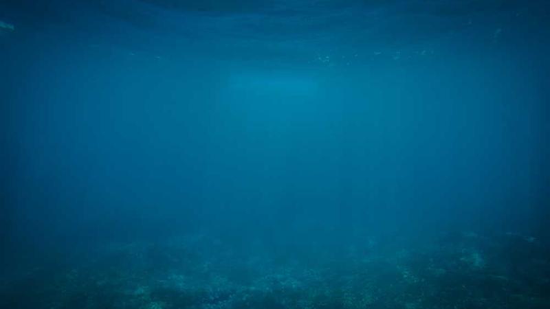 digital主题的精美插图