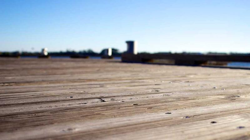 growth主题的精美插图