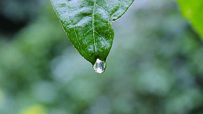 innovation主题的精美插图