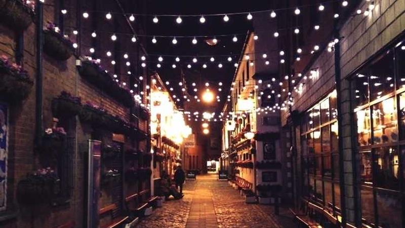 关于professional的专业图片