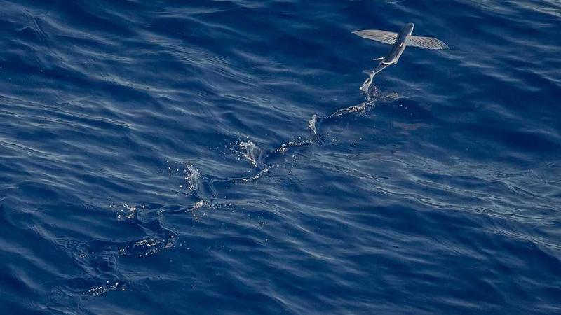 与restaurant相关的创意图片