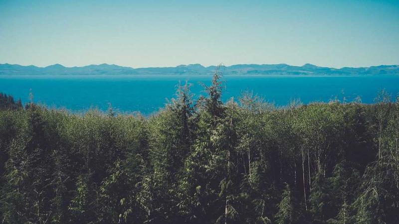 success主题的精美插图